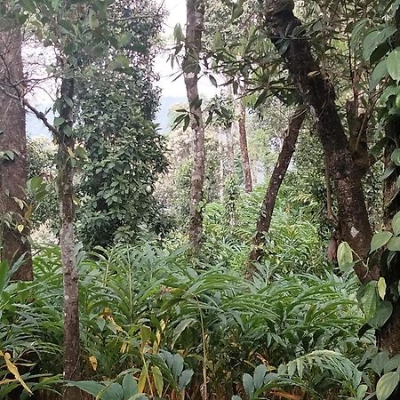 Spice Green Residency Pīrmed Dış mekan fotoğraf